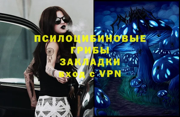 крисы Красноперекопск