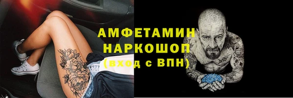 крисы Красноперекопск